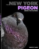 Andrew Garn - The New York Pigeon