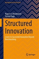 Rupert A Brandmeier, Rupert A. Brandmeier, Florian Rupp - Structured Innovation