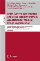 Ujjwal Baid, Spyridon Bakas, Alessandro Crimi, Reuben Dorent, Sylwia Malec, Sylwia Malec et al... - Brain Tumor Segmentation, and Cross-Modality Domain Adaptation for Medical Image Segmentation