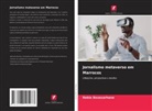 Rekia Boussarhane - Jornalismo metaverso em Marrocos