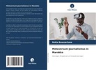 Rekia Boussarhane - Metaversum-Journalismus in Marokko