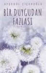 Aysegül cicekoglu - Bir Duygudan Fazlasi