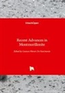 Gustavo Do Nascimento - Recent Advances in Montmorillonite