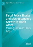 Nombulelo Gumata, Eliphas Ndou - Fiscal Policy Shocks and Macroeconomic Growth in South Africa