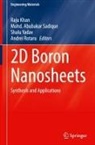 Raju Khan, Andrei Rotaru, Mohd. Abubakar Sadique, Shalu Yadav - 2D Boron Nanosheets