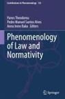 Pedro Manuel Santos Alves, Anna Irene Baka, Panos Theodorou - Phenomenology of Law and Normativity