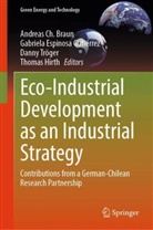 Andreas Braun, Andreas Ch. Braun, Gabriela Espinosa Gutiérrez, Thomas Hirth, Danny Tröger, Danny Tröger et al - Eco-Industrial Development as an Industrial Strategy