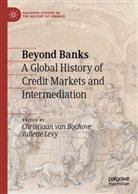 Levy, Juliette Levy, Christiaan van Bochove - Beyond Banks