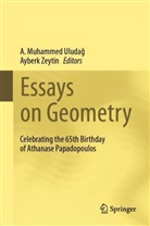 A Muhammed Uludag, A. Muhammed Uludag, A. Muhammed Uludağ, Zeytin, Ayberk Zeytin - Essays on Geometry