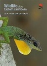 Gill Holliday, Steve Holliday, Steve Holliday Holliday, Holliday Steve - Wildlife of the Eastern Caribbean