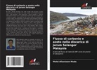 Mohd Afzanizam Muda - Flusso di carbonio e azoto nella discarica di Jeram Selangor Malaysia