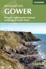 Andy Davies - Walking on Gower