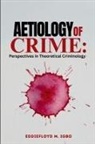 Eddiefloyd Igbo - Aetiology of Crime