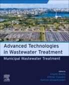 Basile Angelo, Alfredo Cassano, Ghasemzadeh Kamran - Municipal Wastewater Treatment