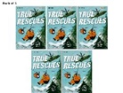 Giles Clare, Giles Hunt Clare, Clare Giles, Jilly Hunt, Hunt Jilly, Valeria Danilova... - Read Write Inc. Fresh Start Readers: Book 11: True Rescues & a Dog