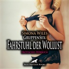 Simona Wiles, Katharina Schaafmeister, blue panther books - GruppenSex: Fahrstuhl der Wollust | Erotik Audio Story | Erotisches Hörbuch Audio-CD, Audio-CD (Audio book)