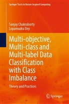 Sanjay Chakraborty, Lopamudra Dey - Multi-objective, Multi-class and Multi-label Data Classification with Class Imbalance