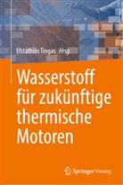 Efstathios Tingas - Wasserstoff für zukünftige thermische Motoren