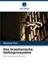 Mariana Piva - Das brasilianische Gefängnissystem