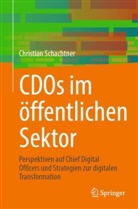 Christian Schachtner - CDOs im öffentlichen Sektor