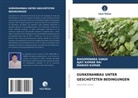 Manish Kumar, AJAY KUMAR RAI, Bhoopendra Singh - GURKENANBAU UNTER GESCHÜTZTEN BEDINGUNGEN