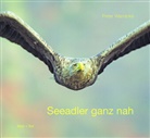 Peter Wernicke - Seeadler ganz nah