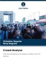 Niraj Nagrale, Vishakha Nagrale - Crowd-Analyse