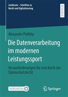 Alexander Pollithy - Die Datenverarbeitung im modernen Leistungssport