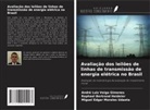 André Luiz Veiga Gimenes, Raphael Bertrand Heideier, Miguel Edgar Morales Udaeta - Avaliação dos leilões de linhas de transmissão de energia elétrica no Brasil