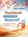 Brigitte Hamann - Praxisbuch molekularer Wasserstoff
