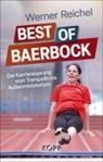 Werner Reichel - Best of Baerbock