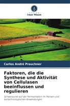 Carlos André Prauchner - Faktoren, die die Synthese und Aktivität von Cellulasen beeinflussen und regulieren