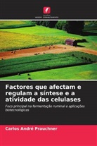 Carlos André Prauchner - Factores que afectam e regulam a síntese e a atividade das celulases