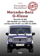 Jörg Sand - Praxisratgeber Klassikerkauf: Mercedes-Benz G-Klasse Baureihe W 463
