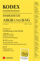 Werner Doralt - KODEX Basisgesetze ABGB und B-VG 2024/25 - inkl. App