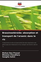Bhawna Chaudhary, Bishun Deo Prasad, Sangita Sahni - Brassinostéroïde: absorption et transport de l'arsenic dans le riz