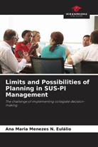 Ana Maria Menezes N. Eulálio - Limits and Possibilities of Planning in SUS-PI Management