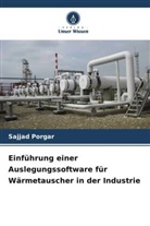 Sajjad Porgar - Einführung einer Auslegungssoftware für Wärmetauscher in der Industrie