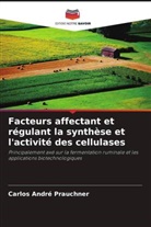 Carlos André Prauchner - Facteurs affectant et régulant la synthèse et l'activité des cellulases