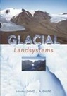 David Evans, David J. A. Evans, Liz Gooster - Glacial Landsystens