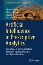 Eduardo Fernández, Gustavo Javier Meschino, Witold Pedrycz, Gilberto Rivera - Artificial Intelligence in Prescriptive Analytics