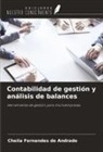 Cheila Fernandes de Andrade - Contabilidad de gestión y análisis de balances