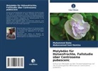 Muhammed Baba, Abdussamad Sani Hamisu - Molybdän für Hülsenfrüchte, Fallstudie über Centrosema pubescenc