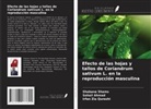 Sohail Ahmad, Irfan Zia Qureshi, Shabana Shams - Efecto de las hojas y tallos de Coriandrum sativum L. en la reproducción masculina