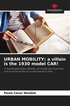 Paulo Cesar Waidzik - URBAN MOBILITY: a villain is the 1930 model CAR!