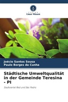 Paulo Borges Da Cunha, Joécio Santos Sousa - Städtische Umweltqualität in der Gemeinde Teresina - PI