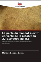Marcelo Serrano Souza - La perte du mandat électif en vertu de la résolution 22.610/2007 du TSE