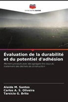 Tarsicio G. Brito, Carlos A. S. Oliveira, Alaide M. Santos - Évaluation de la durabilité et du potentiel d'adhésion