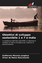 Victor de Matos Nascimento, Guilherme Messias Junglaus - Obiettivi di sviluppo sostenibile 1 e 7 e India