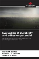 Tarsicio G. Brito, Carlos A. S. Oliveira, Alaide M. Santos - Evaluation of durability and adhesion potential